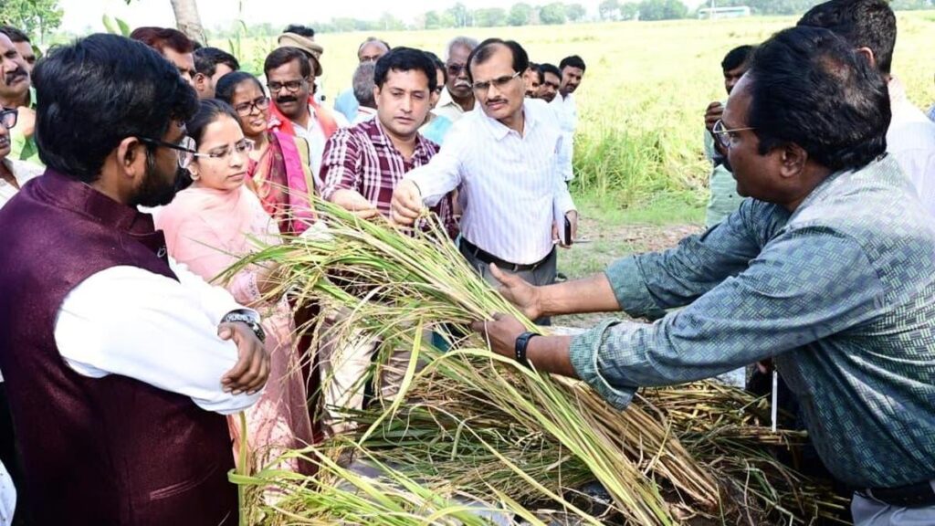 A.P. seeks ₹901 crore immediate relief for Cyclone Montha damage; total loss estimated at ₹6,384 crore