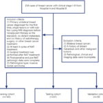 Predicting breast cancer response to neoadjuvant therapy by integrating radiomic and deep-learning features from early-and-peak phases of DCE-MRI