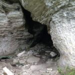 Ancient wolves on remote Baltic Sea island reveal link to prehistoric humans